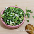 एयर-ड्राई किए गए shallots chive छल्ले निर्जलित chive रोल